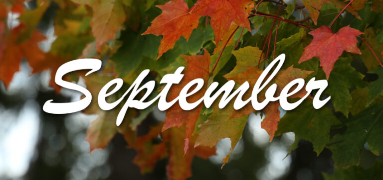 The Events of September